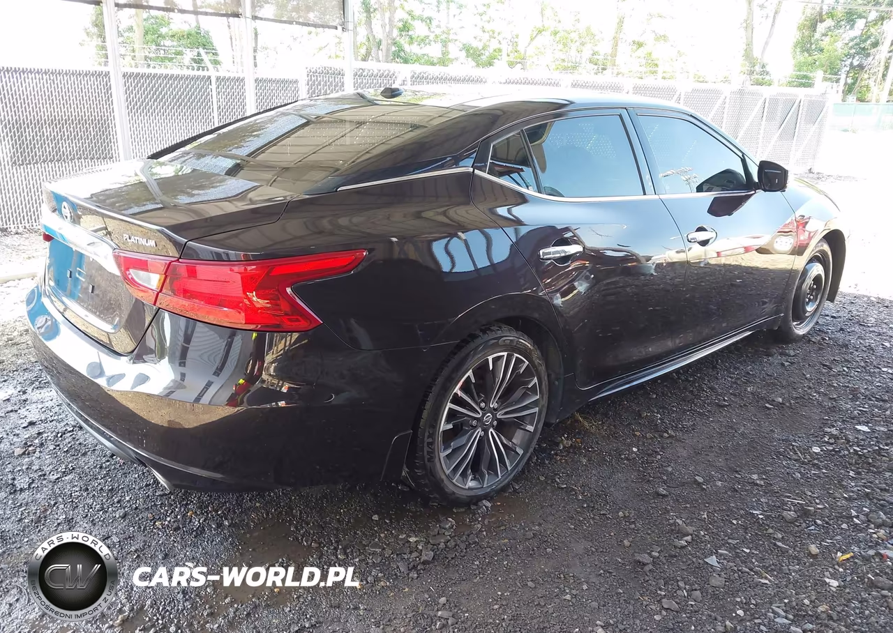 2016 Nissan Maxima 3.5 Platinum VIN:1N4AA6AP2GC425332 - 4