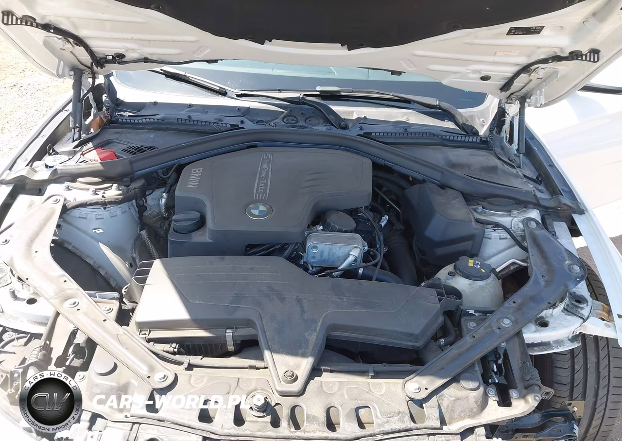 2016 BMW 428I VIN:WBA3V7C50G5A28506 - 10