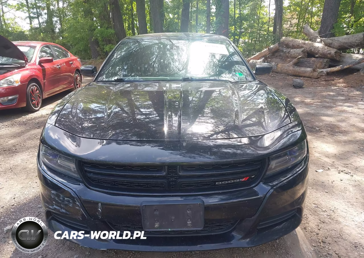 2016 Dodge Charger Sxt VIN:2C3CDXHGXGH339211 - 12