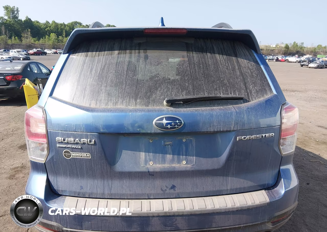 2018 Subaru Forester 2.5I Premium VIN:JF2SJAGC9JH501128 - 16