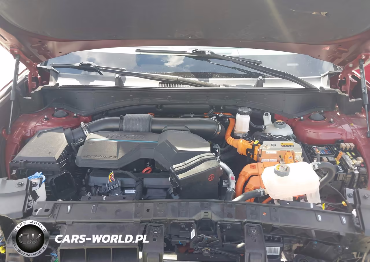 2024 Hyundai Santa Fe Hybrid Sel VIN:5NMP2DG18RH003854 - 10