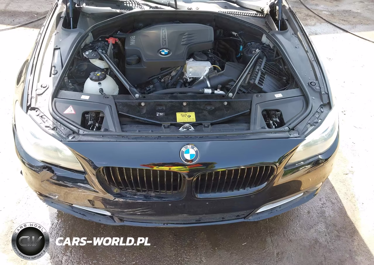 2016 BMW 528I xDrive VIN:WBA5A7C55GG146816 - 10