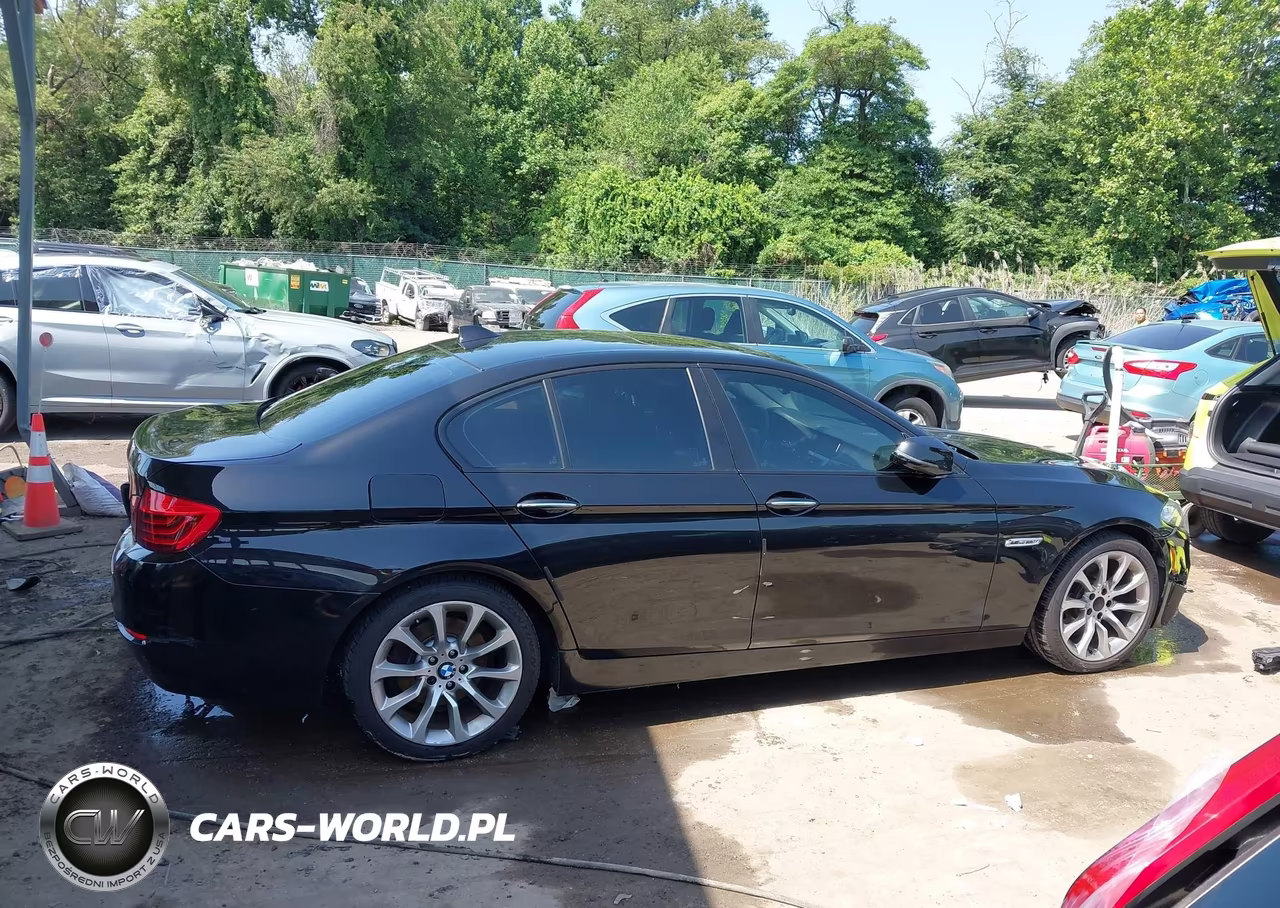 2016 BMW 528I xDrive VIN:WBA5A7C55GG146816 - 12