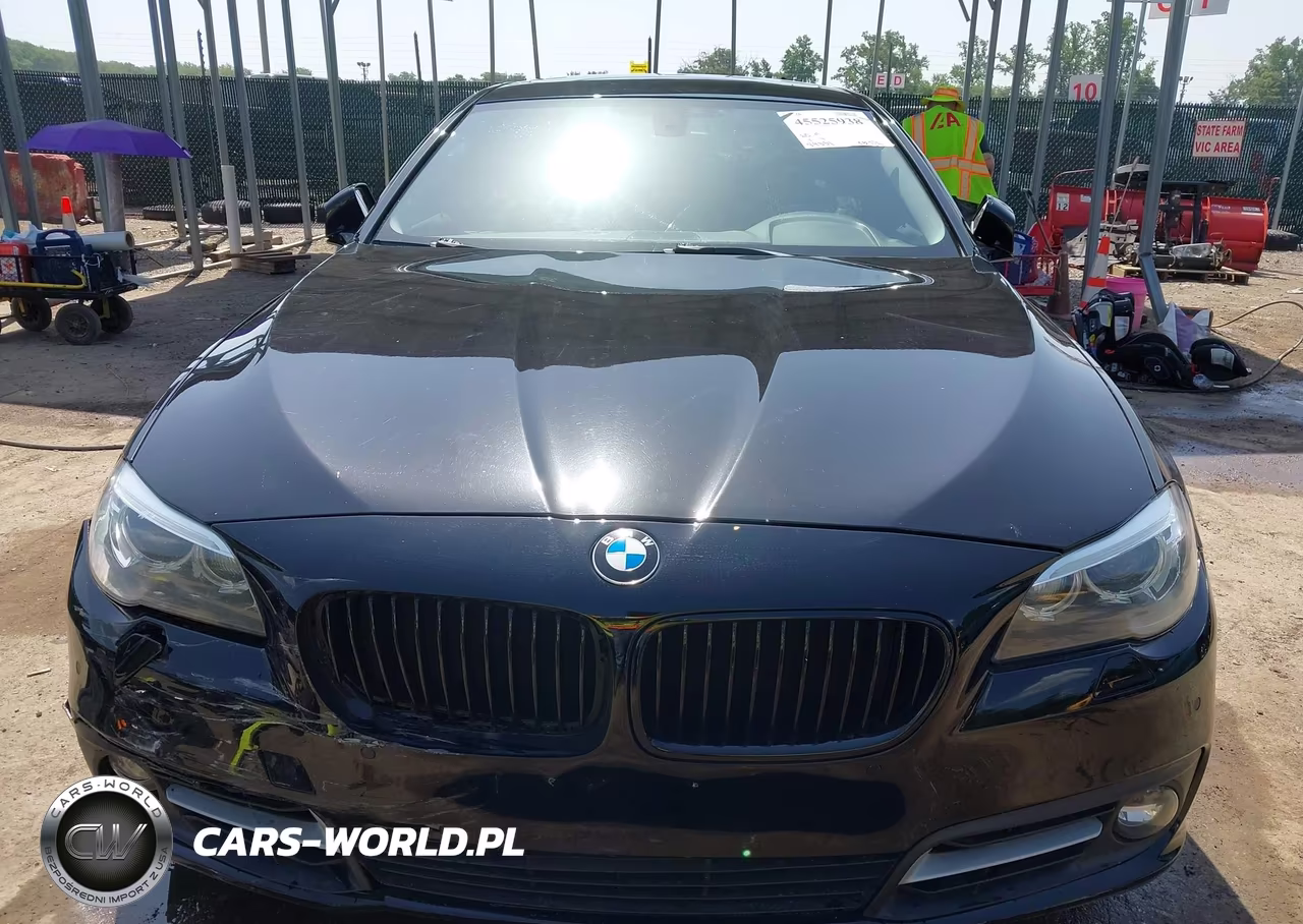 2016 BMW 528I xDrive VIN:WBA5A7C55GG146816 - 17