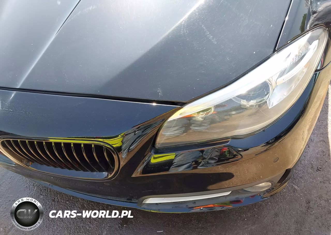 2016 BMW 528I xDrive VIN:WBA5A7C55GG146816 - 19