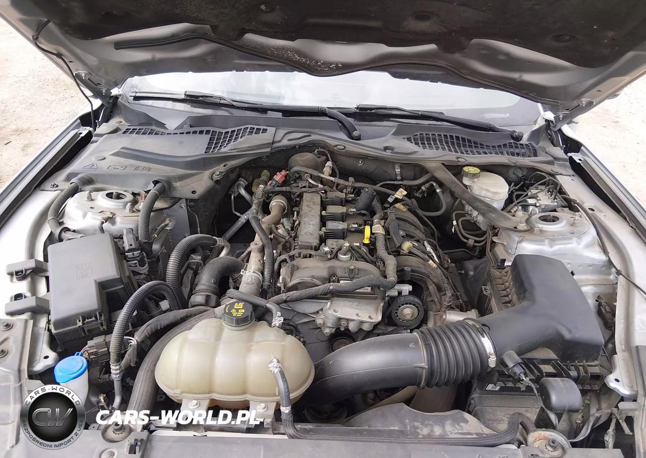 2022 Ford Mustang Ecoboost -Ecoboost Premium VIN:1FATP8UH0N5120131 - 10