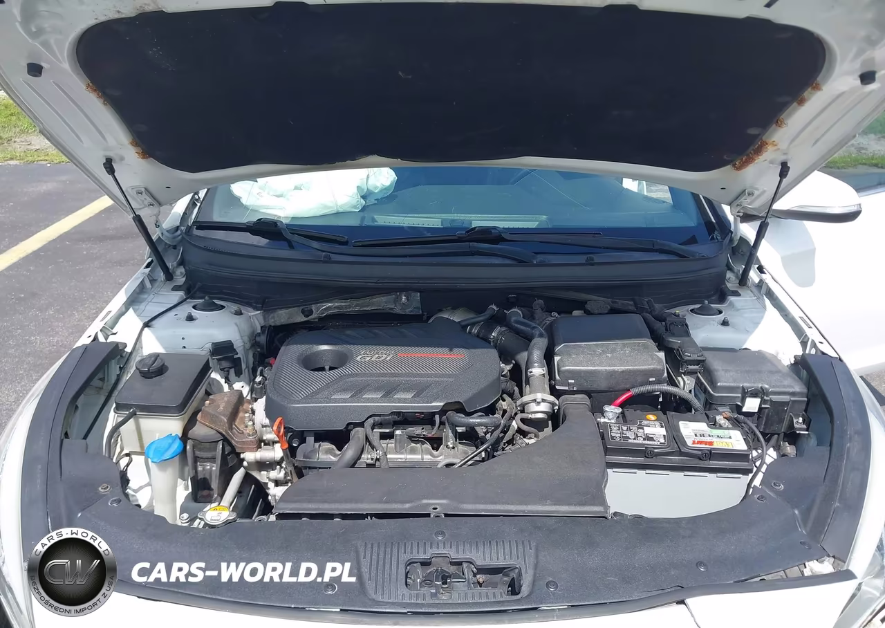 2015 Hyundai Sonata Sport 2.0T VIN:5NPE34AB3FH178503 - 10