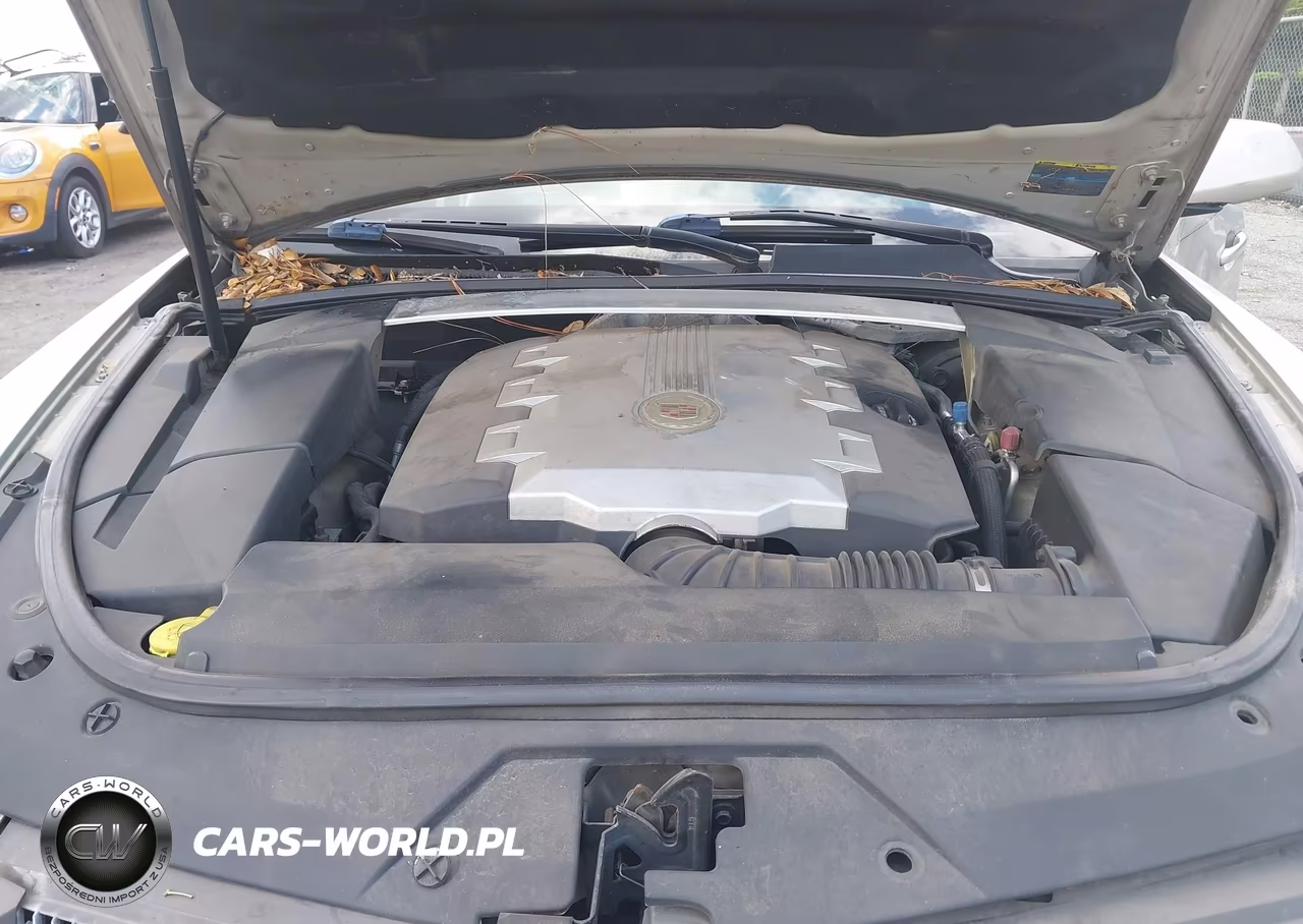 2008 Cadillac Cts Rwd W-1Sb VIN:1G6DV57VX80215420 - 10