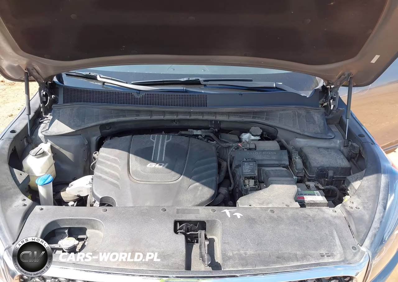 2017 Kia Sorento 3.3L Sx VIN:5XYPK4A5XHG318109 - 10