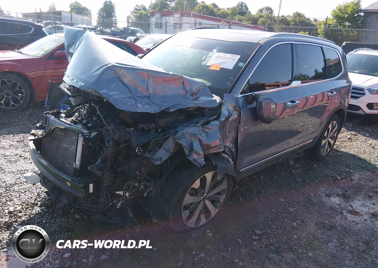2020 Kia Telluride S VIN:5XYP6DHC4LG095020 - 2