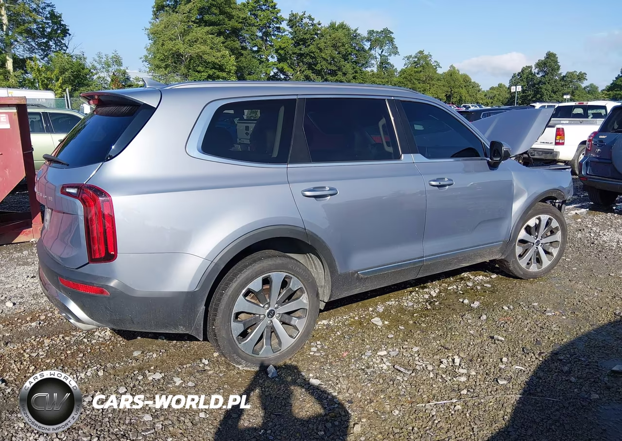 2020 Kia Telluride S VIN:5XYP6DHC4LG095020 - 4