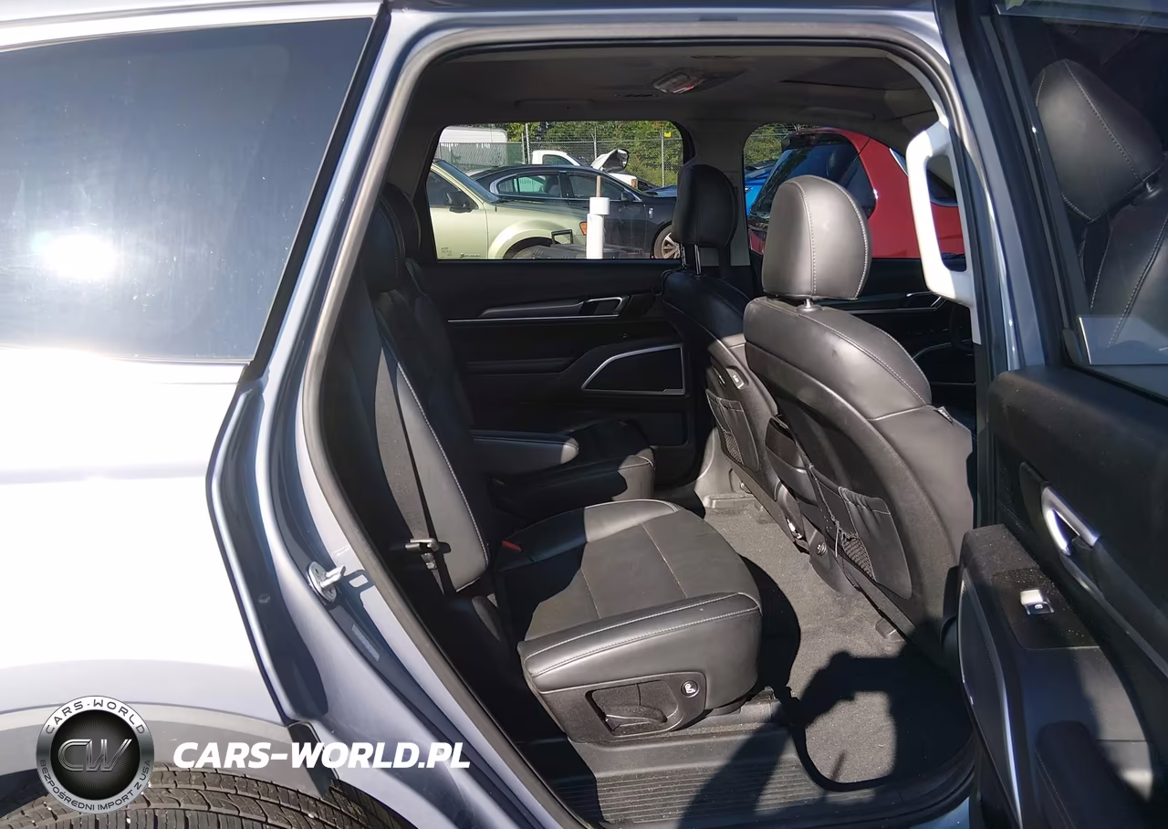2020 Kia Telluride S VIN:5XYP6DHC4LG095020 - 8
