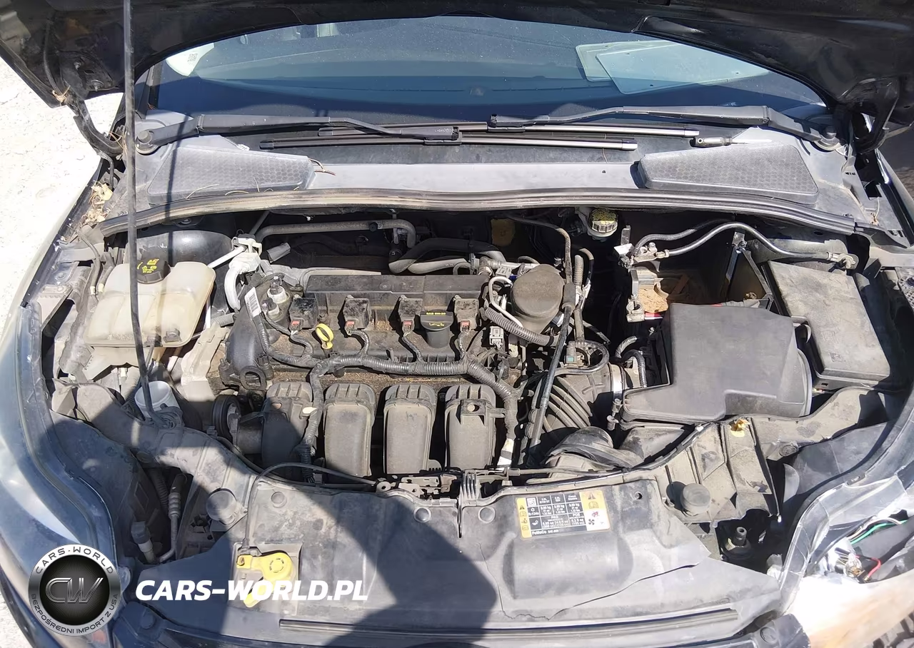 2014 Ford Focus Titanium VIN:1FADP3N26EL293620 - 10