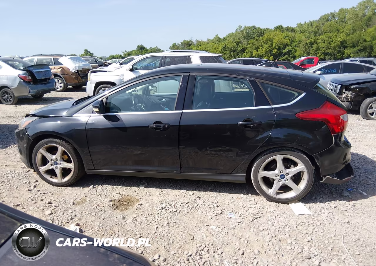 2014 Ford Focus Titanium VIN:1FADP3N26EL293620 - 15