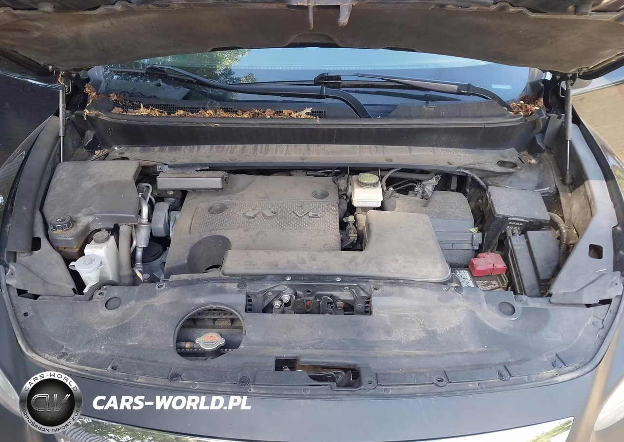 2015 Infiniti Qx60 VIN:5N1AL0MM1FC537116 - 10