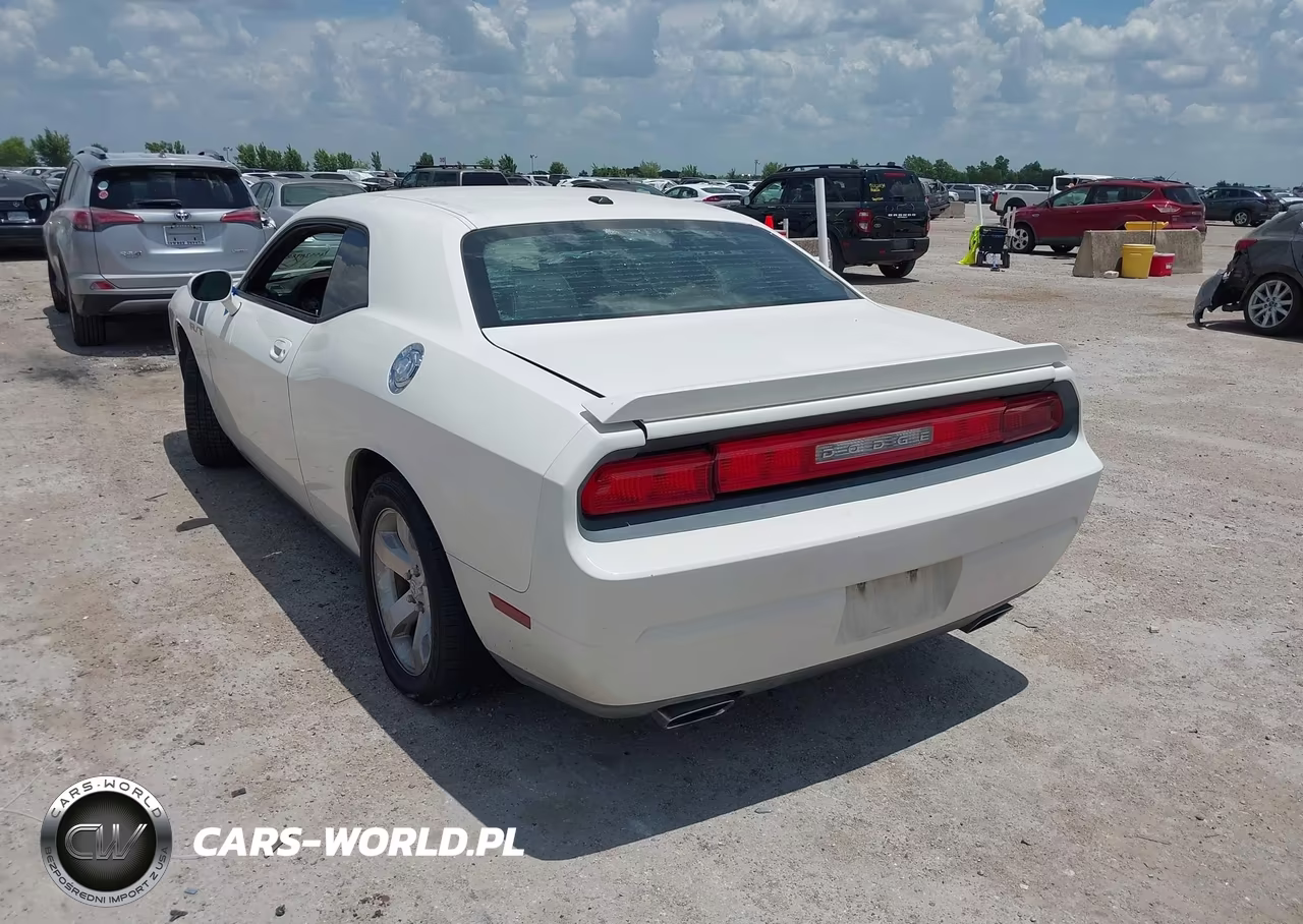 2009 Dodge Challenger R-T VIN:2B3LJ54T89H541710 - 3