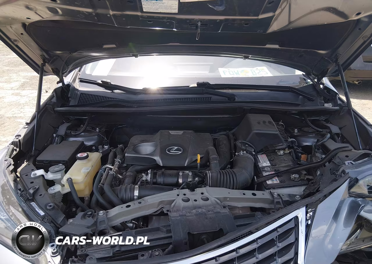 2020 Lexus Nx 300 VIN:JTJGARBZ3L2174257 - 10
