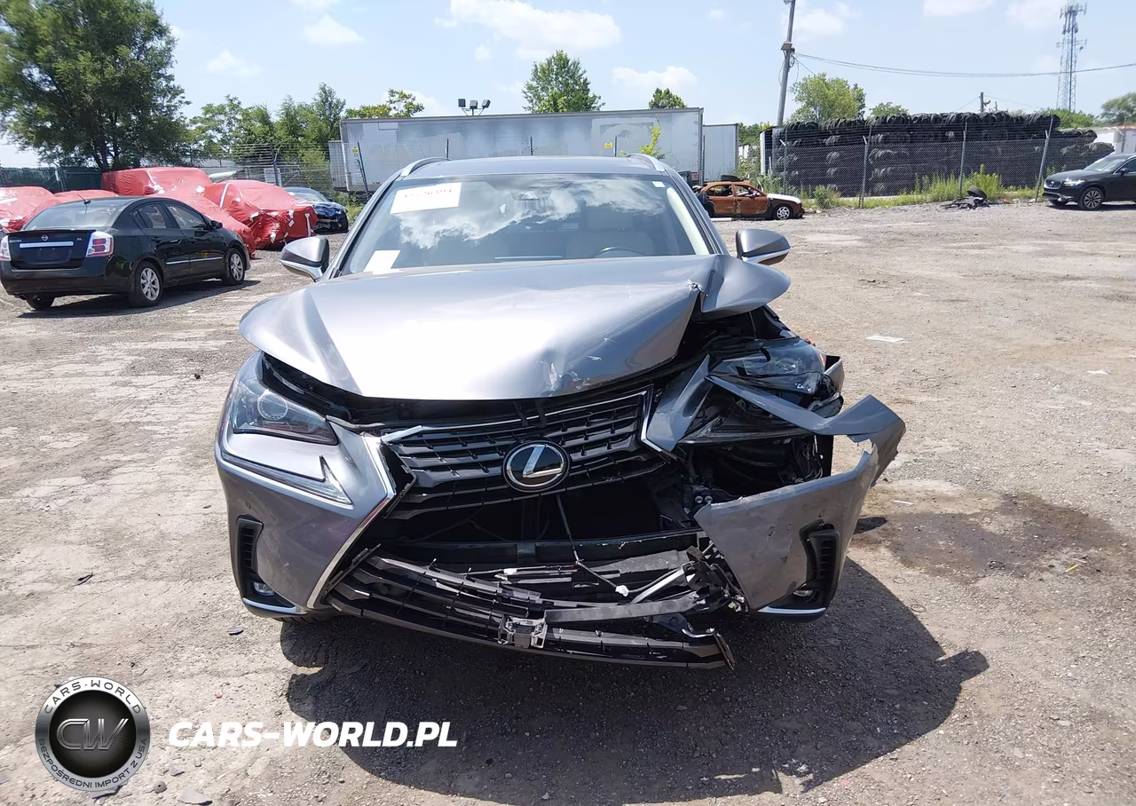 2020 Lexus Nx 300 VIN:JTJGARBZ3L2174257 - 12