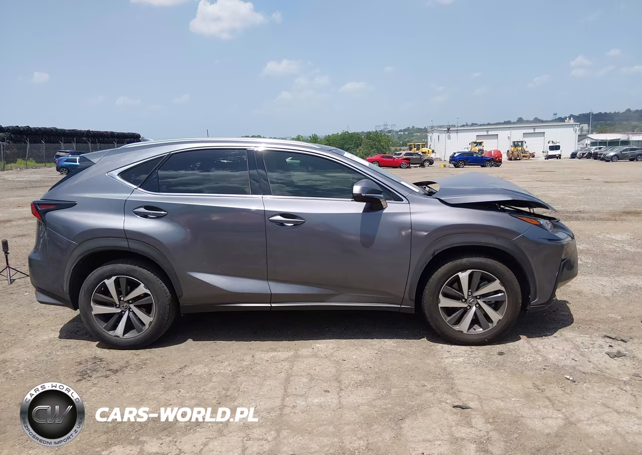 2020 Lexus Nx 300 VIN:JTJGARBZ3L2174257 - 13