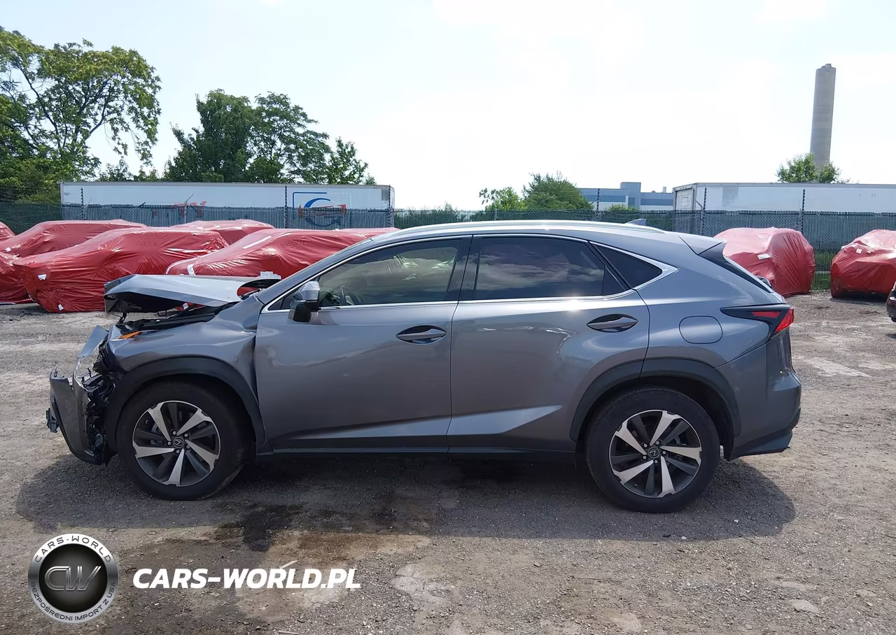 2020 Lexus Nx 300 VIN:JTJGARBZ3L2174257 - 14
