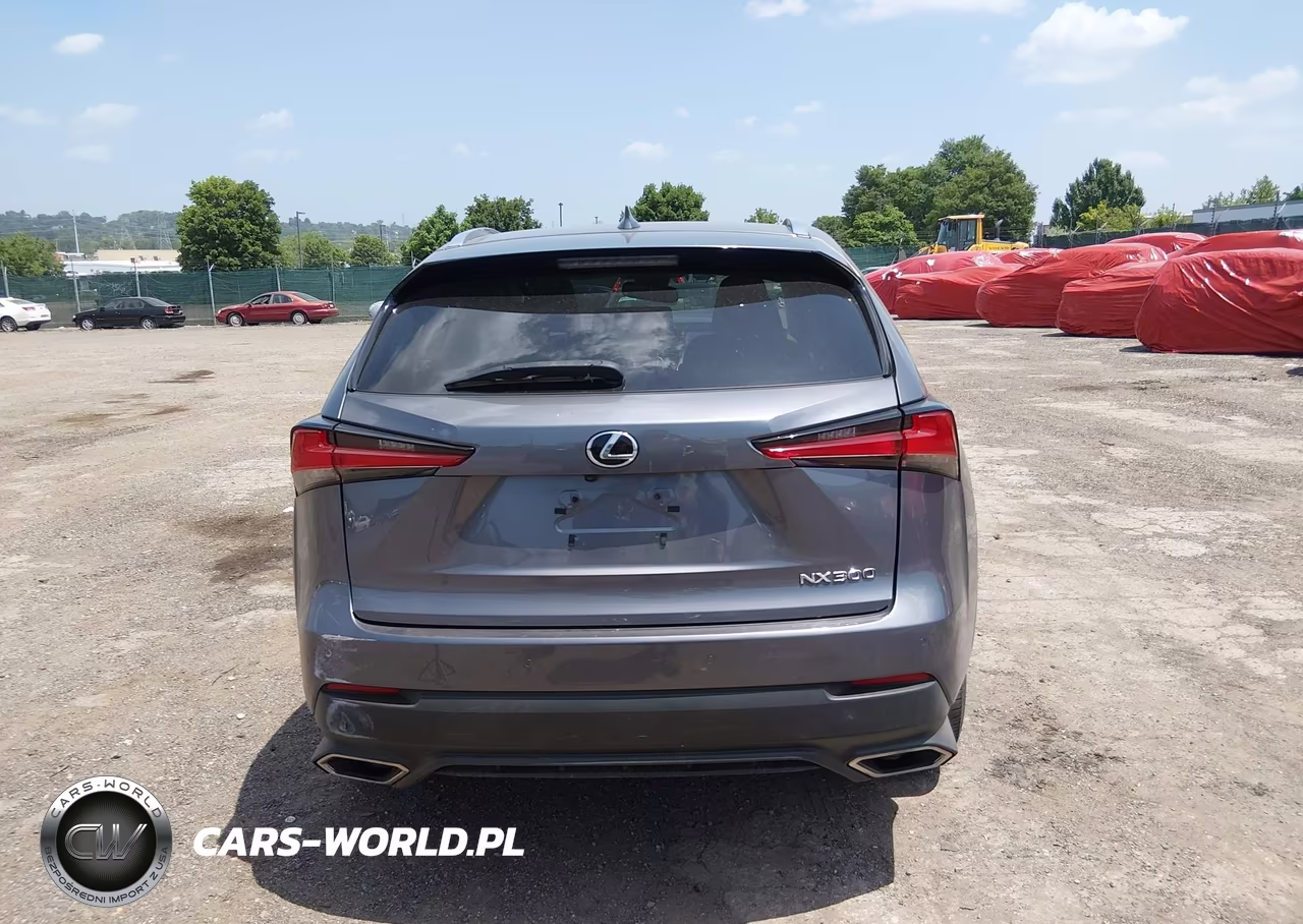 2020 Lexus Nx 300 VIN:JTJGARBZ3L2174257 - 16
