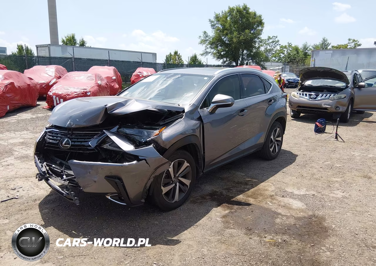 2020 Lexus Nx 300 VIN:JTJGARBZ3L2174257 - 2