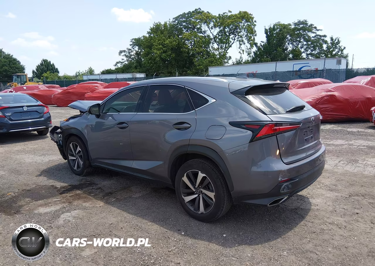 2020 Lexus Nx 300 VIN:JTJGARBZ3L2174257 - 3