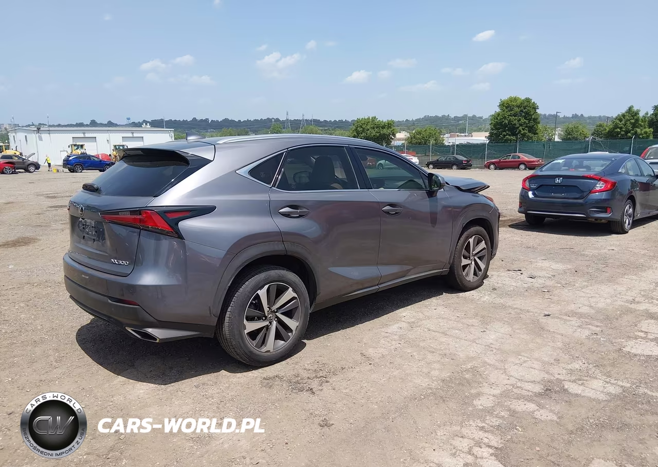 2020 Lexus Nx 300 VIN:JTJGARBZ3L2174257 - 4