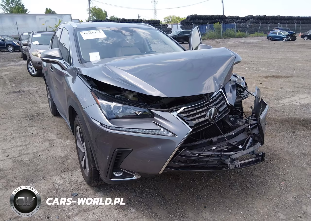 2020 Lexus Nx 300 VIN:JTJGARBZ3L2174257 - 6