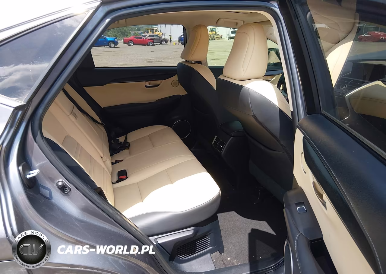 2020 Lexus Nx 300 VIN:JTJGARBZ3L2174257 - 8