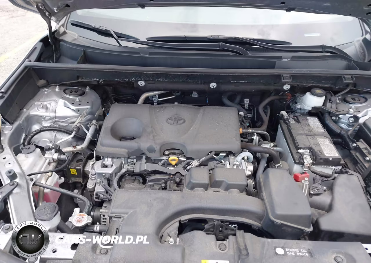 2025 Toyota Rav4 Xle VIN:2T3W1RFV4SC333557 - 10