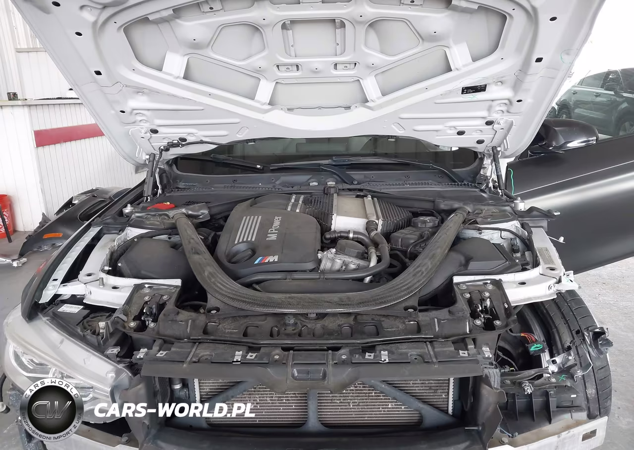 2016 BMW M4 VIN:WBS3U9C59GP968623 - 10