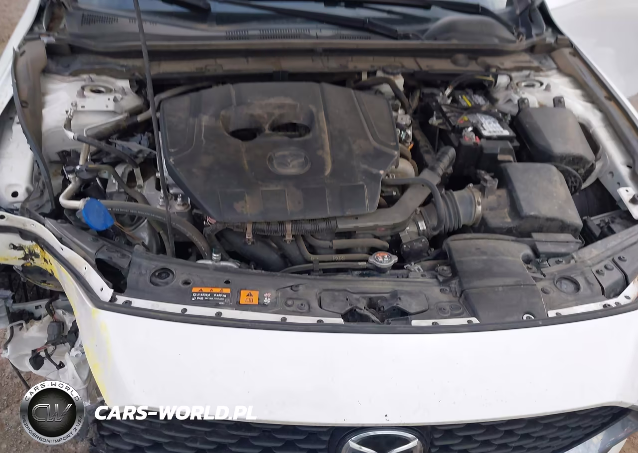 2023 Mazda Mazda3 2.5 S Select VIN:3MZBPABMXPM375375 - 10