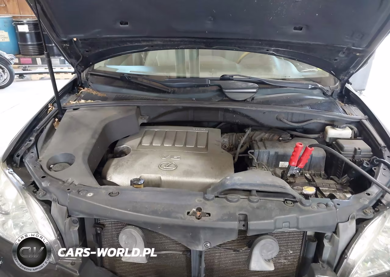 2009 Lexus Rx 350 VIN:2T2HK31U69C117676 - 10