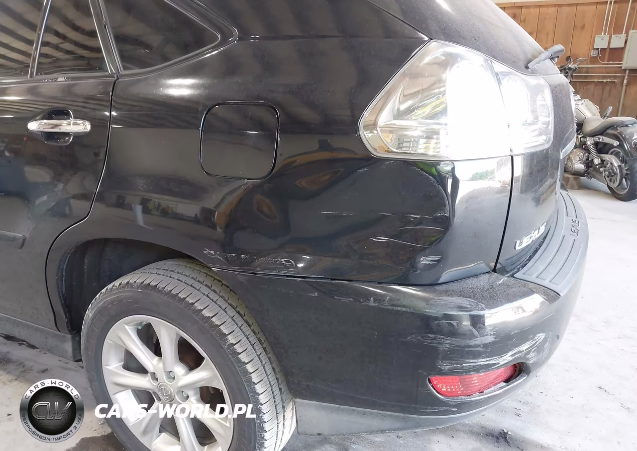 2009 Lexus Rx 350 VIN:2T2HK31U69C117676 - 19