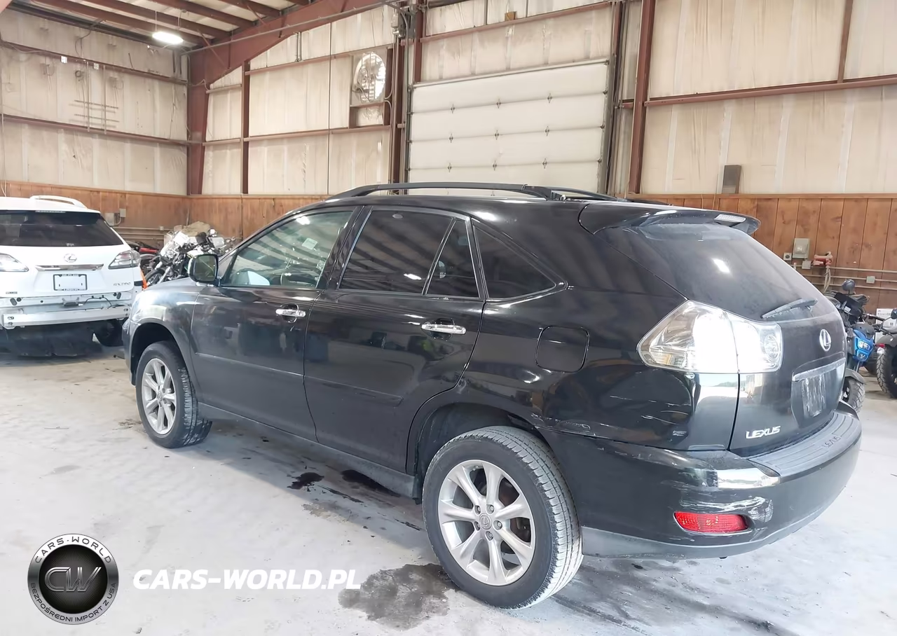 2009 Lexus Rx 350 VIN:2T2HK31U69C117676 - 3