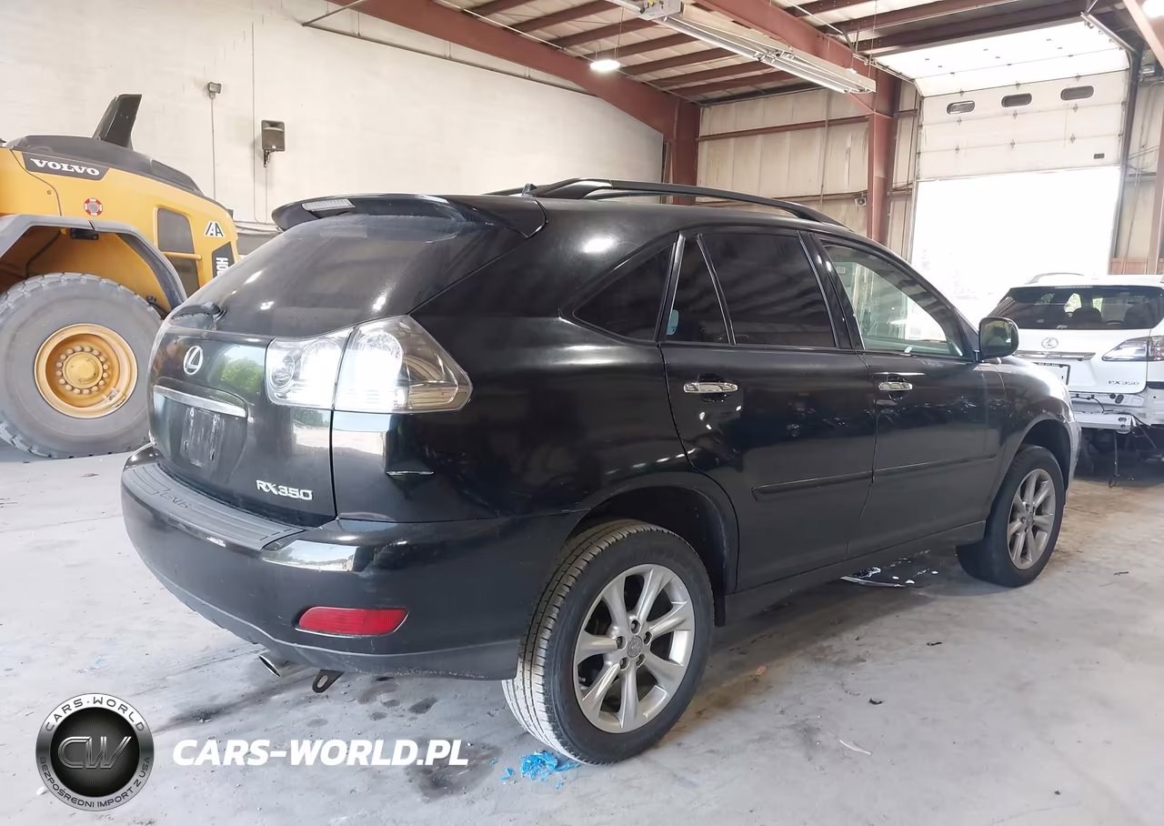 2009 Lexus Rx 350 VIN:2T2HK31U69C117676 - 4