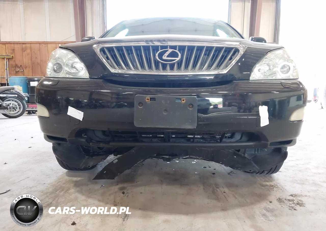 2009 Lexus Rx 350 VIN:2T2HK31U69C117676 - 6