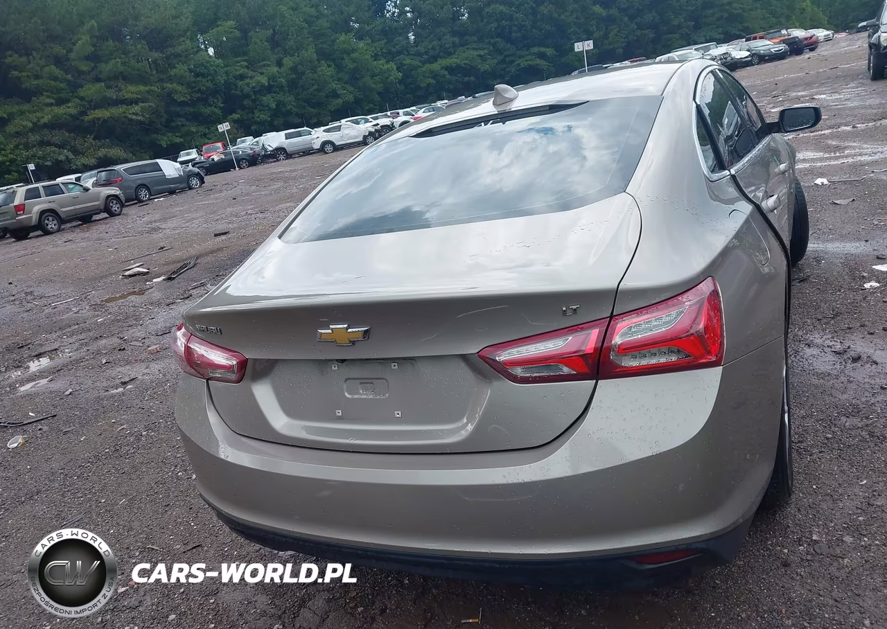 2022 Chevrolet Malibu Fwd Lt VIN:1G1ZD5ST8NF136650 - 16