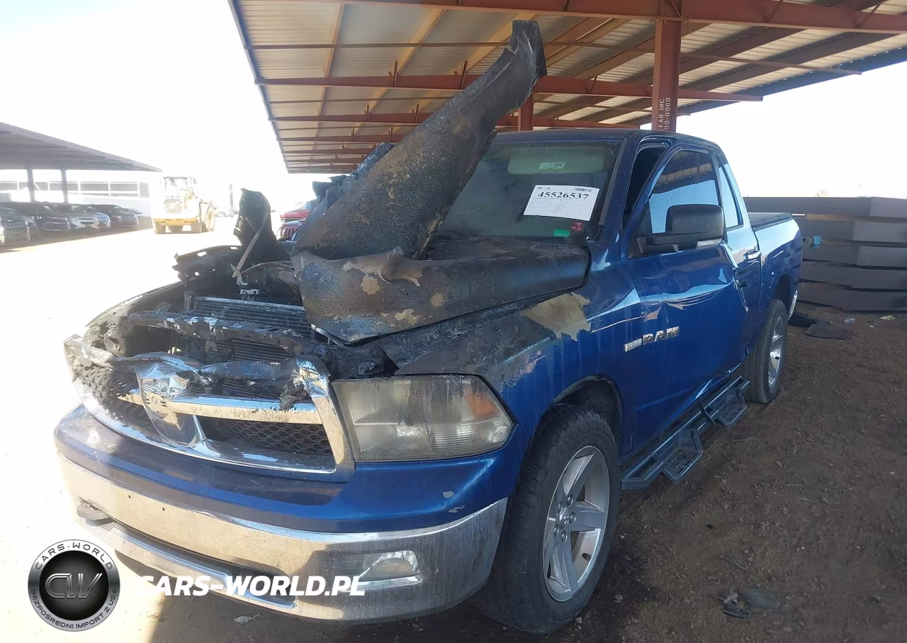 2010 Dodge Ram 1500 Slt-Sport-Trx VIN:1D7RB1CT3AS115619 - 2