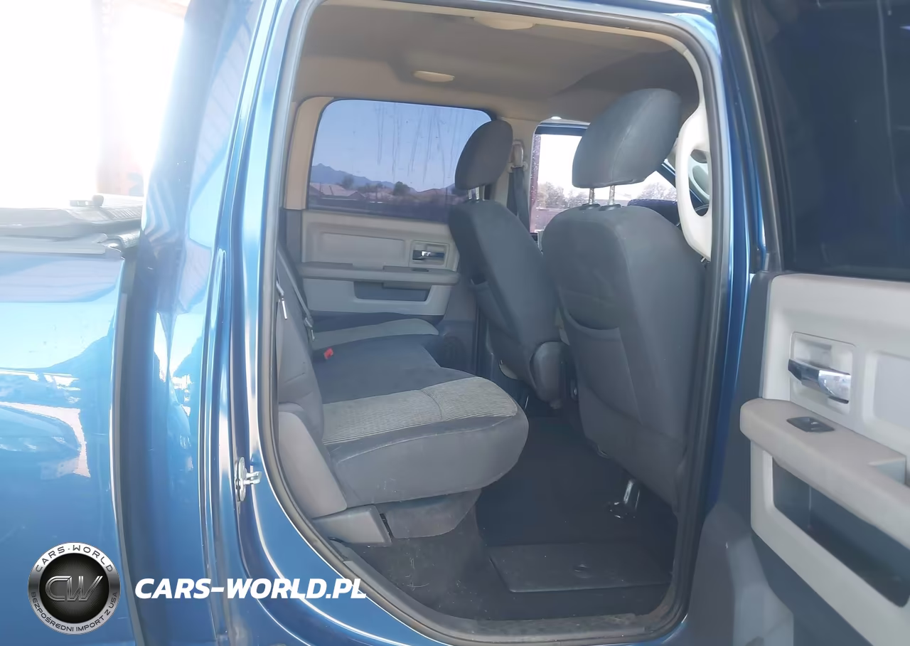 2010 Dodge Ram 1500 Slt-Sport-Trx VIN:1D7RB1CT3AS115619 - 8