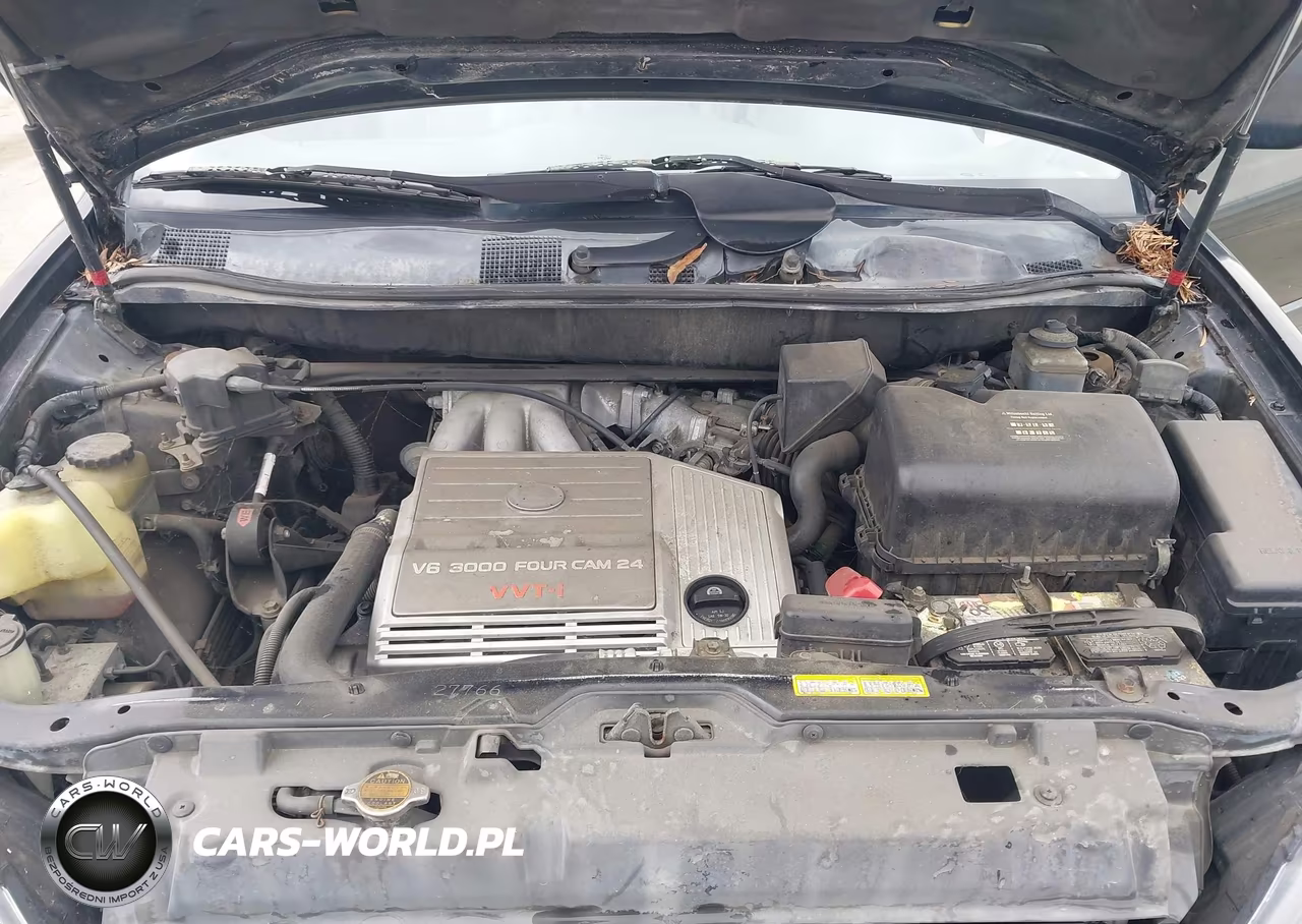 1999 Lexus Rx 300 VIN:JT6GF10U7X0023301 - 10