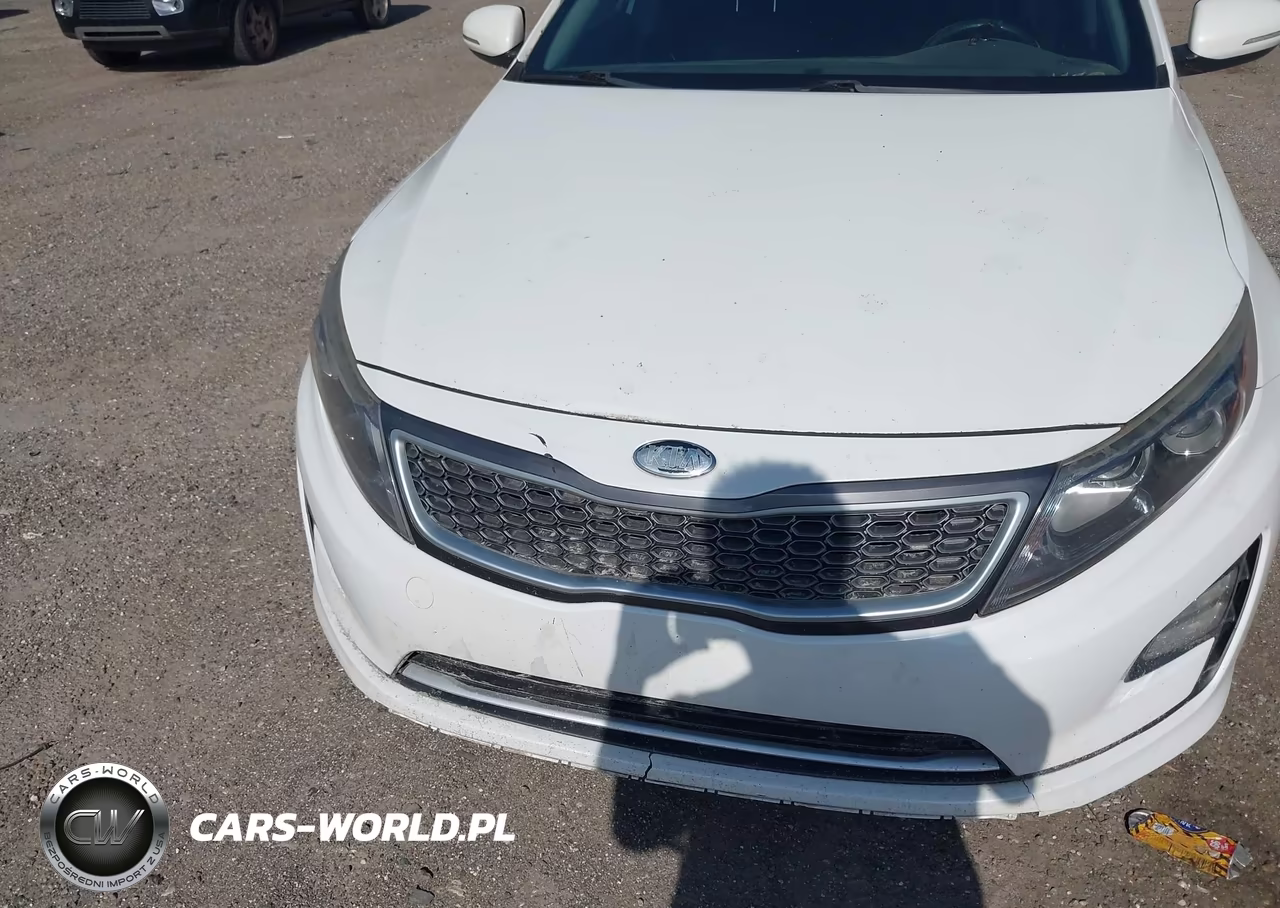 2015 Kia Optima Hybrid Ex VIN:KNAGN4AD7F5091740 - 6