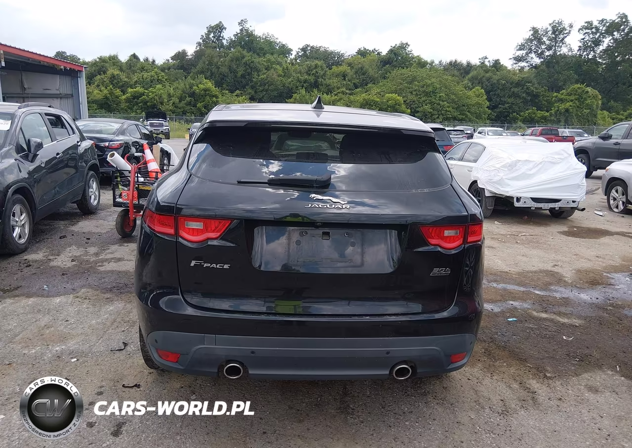 2019 Jaguar F-Pace 25T Prestige-30T Prestige VIN:SADCK2GX0KA395126 - 17