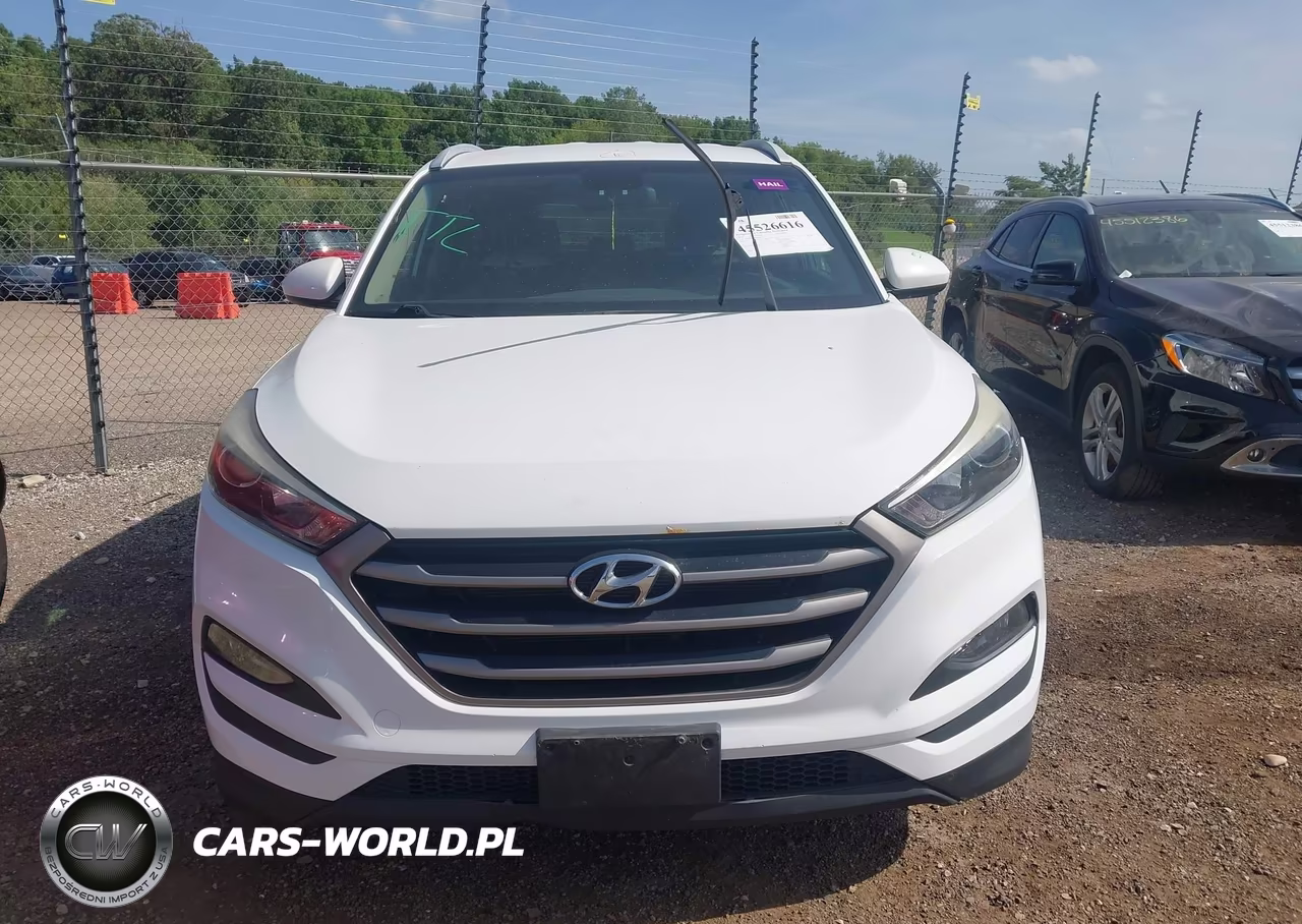 2016 Hyundai Tucson Se VIN:KM8J3CA44GU194917 - 12