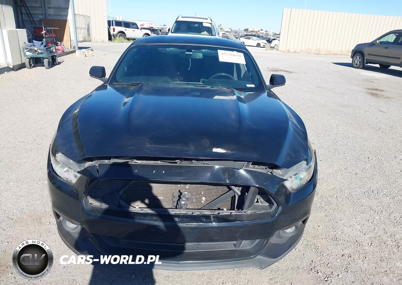 2016 Ford Mustang Ecoboost VIN:1FA6P8TH9G5242746 - 12