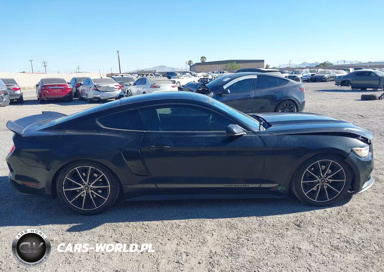 2016 Ford Mustang Ecoboost VIN:1FA6P8TH9G5242746 - 13