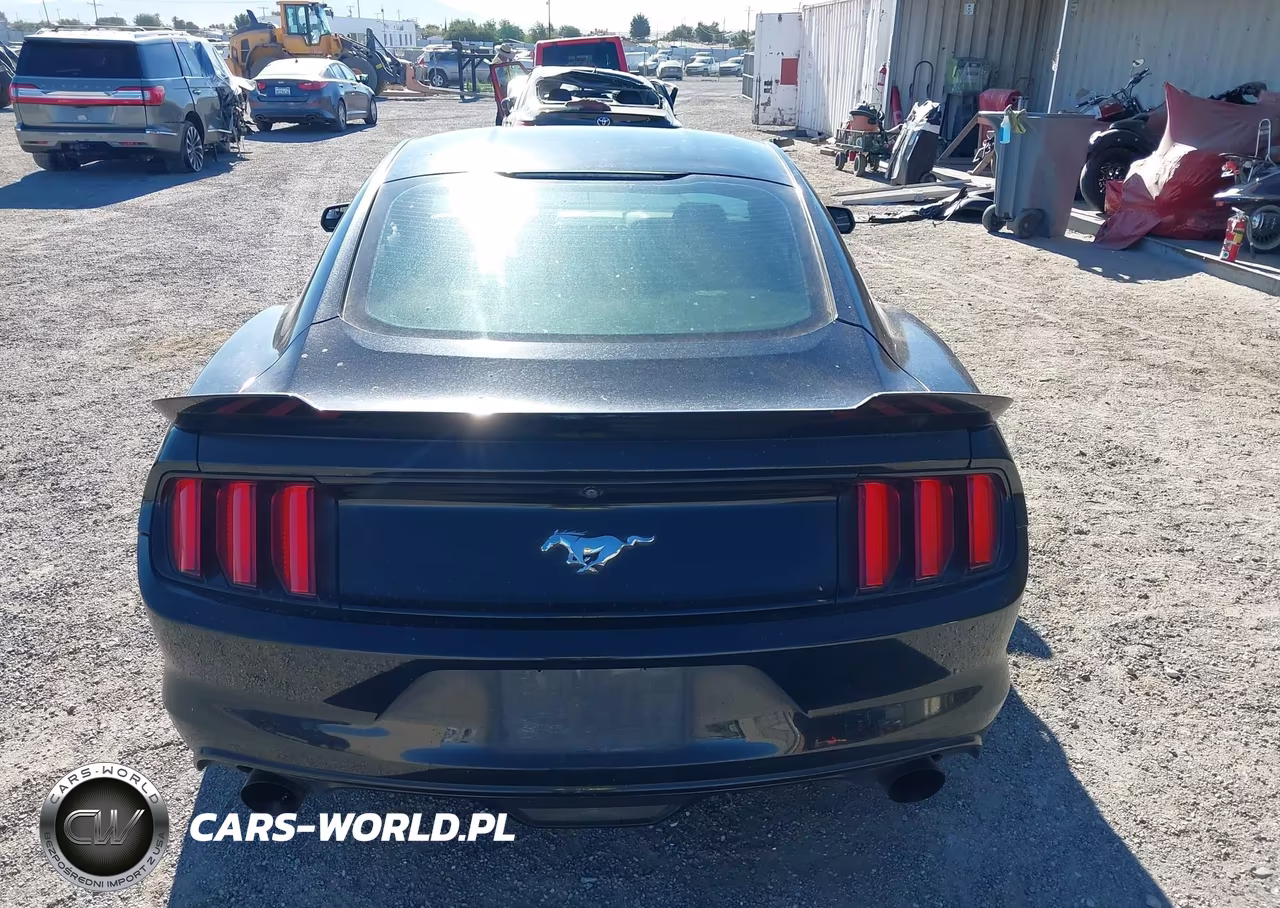 2016 Ford Mustang Ecoboost VIN:1FA6P8TH9G5242746 - 16