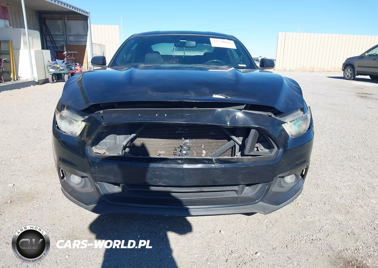 2016 Ford Mustang Ecoboost VIN:1FA6P8TH9G5242746 - 6