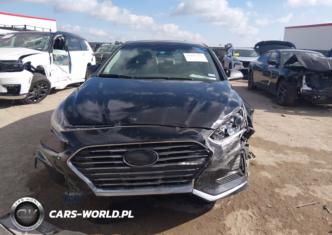 2018 Hyundai Sonata Se VIN:5NPE24AF1JH664306 - 12